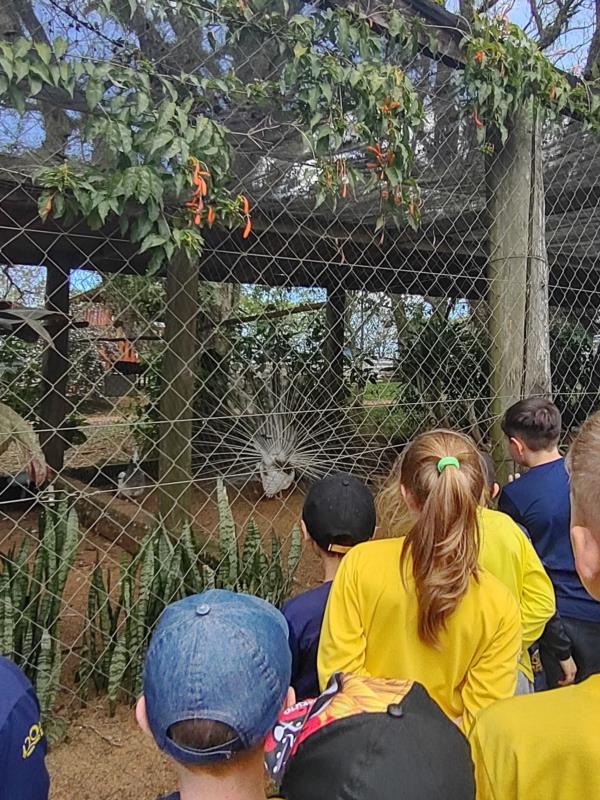 IMI na estrada: 3º ano