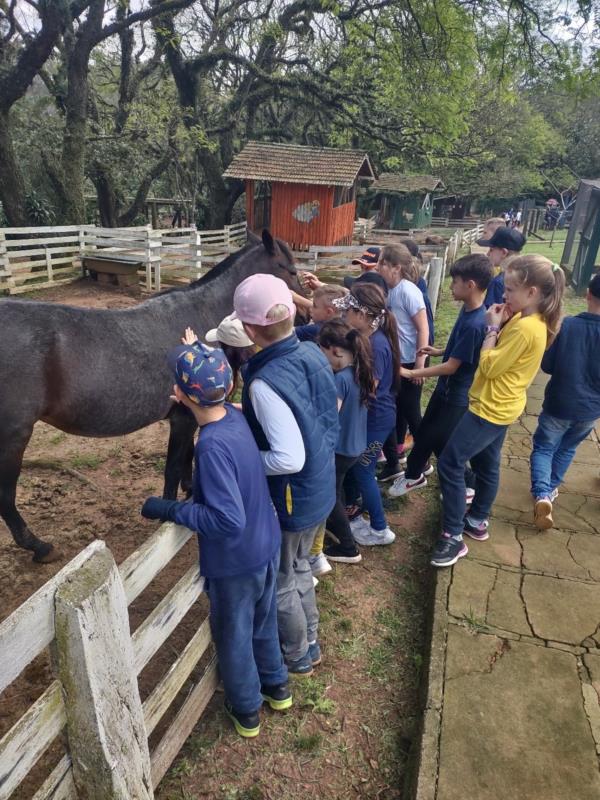 IMI na estrada: 3º ano